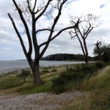 1406F 066 Ostseekuesten Radweg